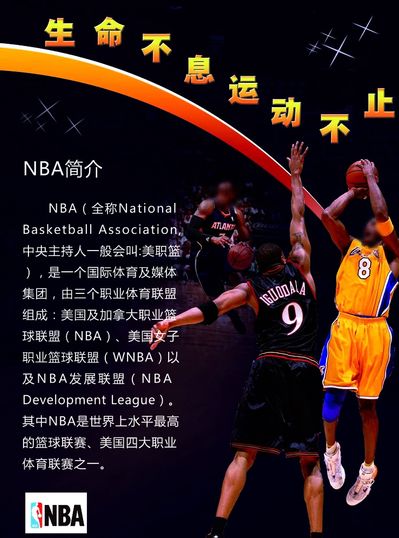 斯在此类赛